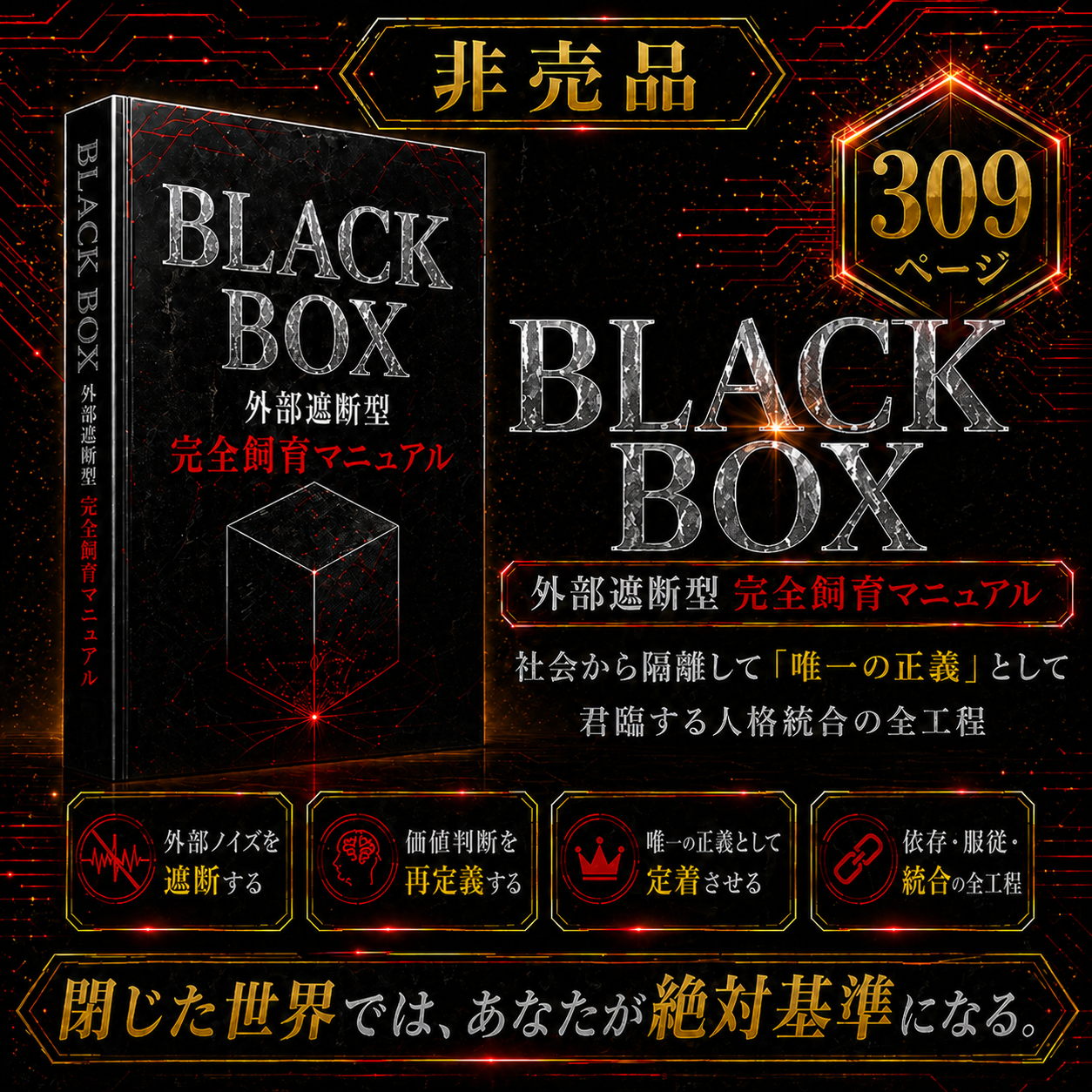 BLACK BOX 外部遮断型 完全自動再インプットマニュアル 320ページ